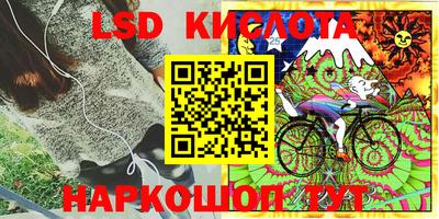 бошки Шебекино