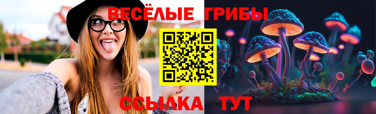 Казань  Псилоцибиновые грибы Magic Shrooms  Вход с VPN  Псилоцибиновые грибы Psilocybe 